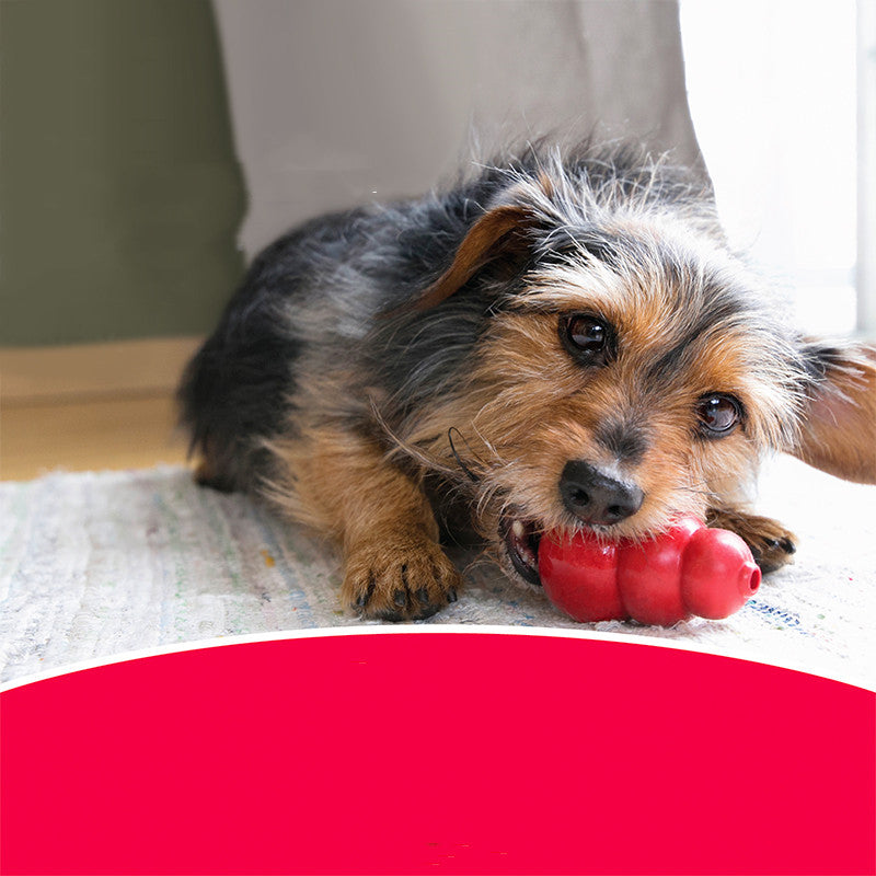 Why Your Dog Needs the Pet Bite Resistant Rubber Chew Toy